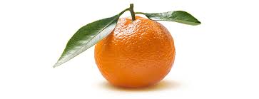 Clémentines orange 3,65 $/lb