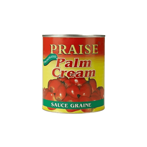 Crème de palme concentrée Praise 800 g