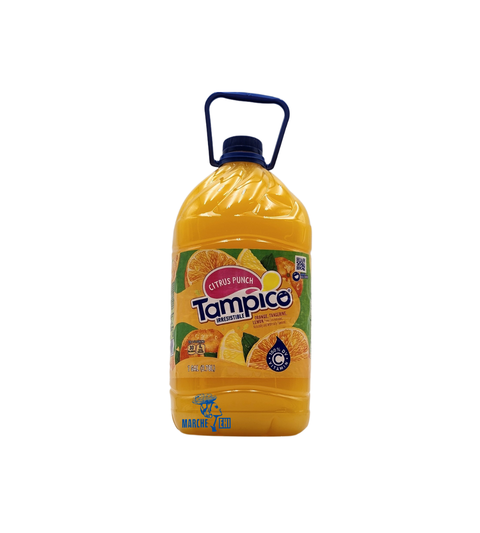 Punch aux agrumes Tampico 1 gallon