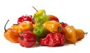Mélange de piments habanero verts et rouges