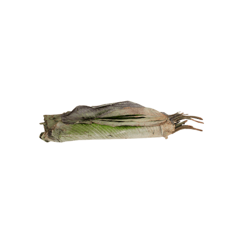 Feuilles de Moimoi